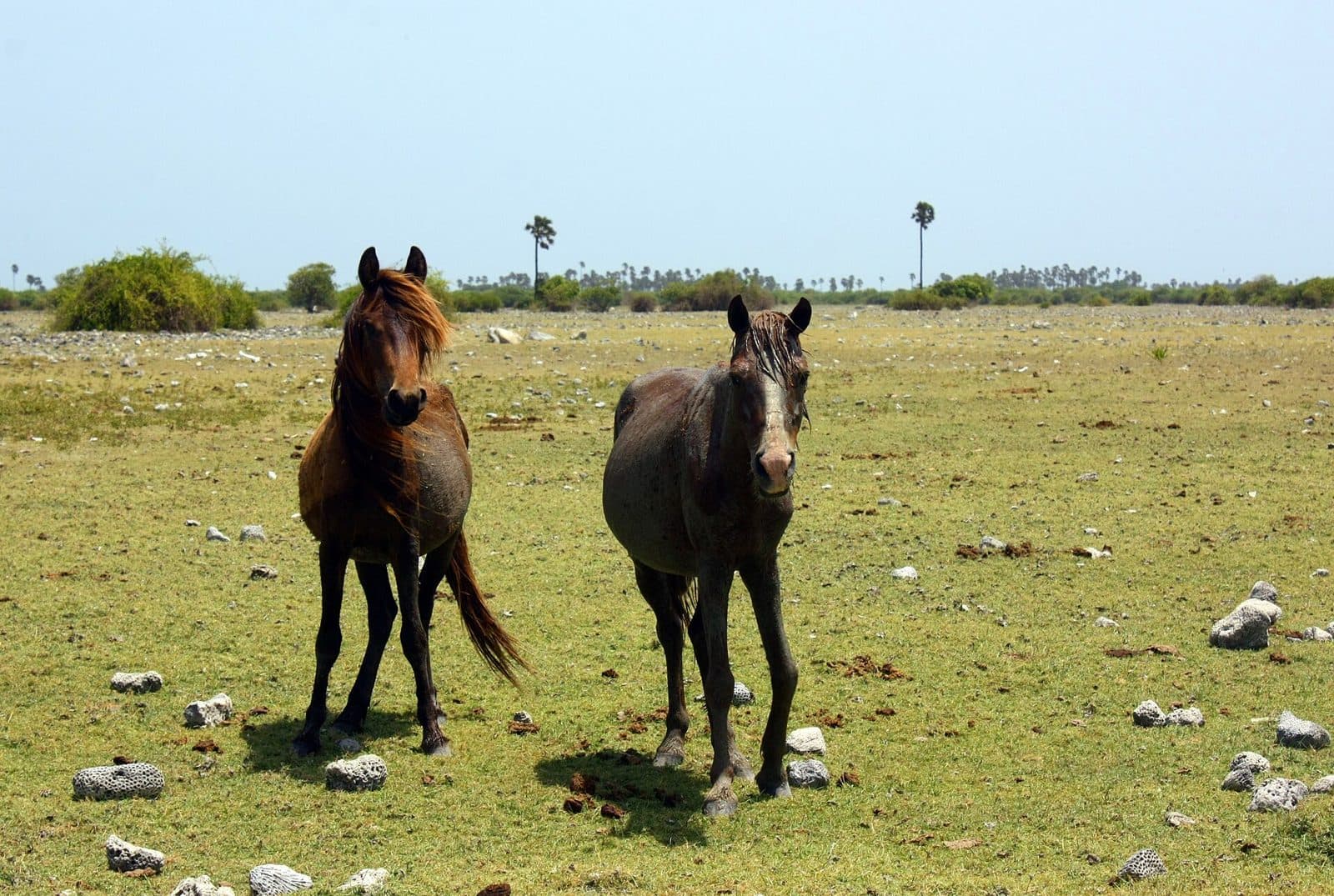 Delft Island Tour