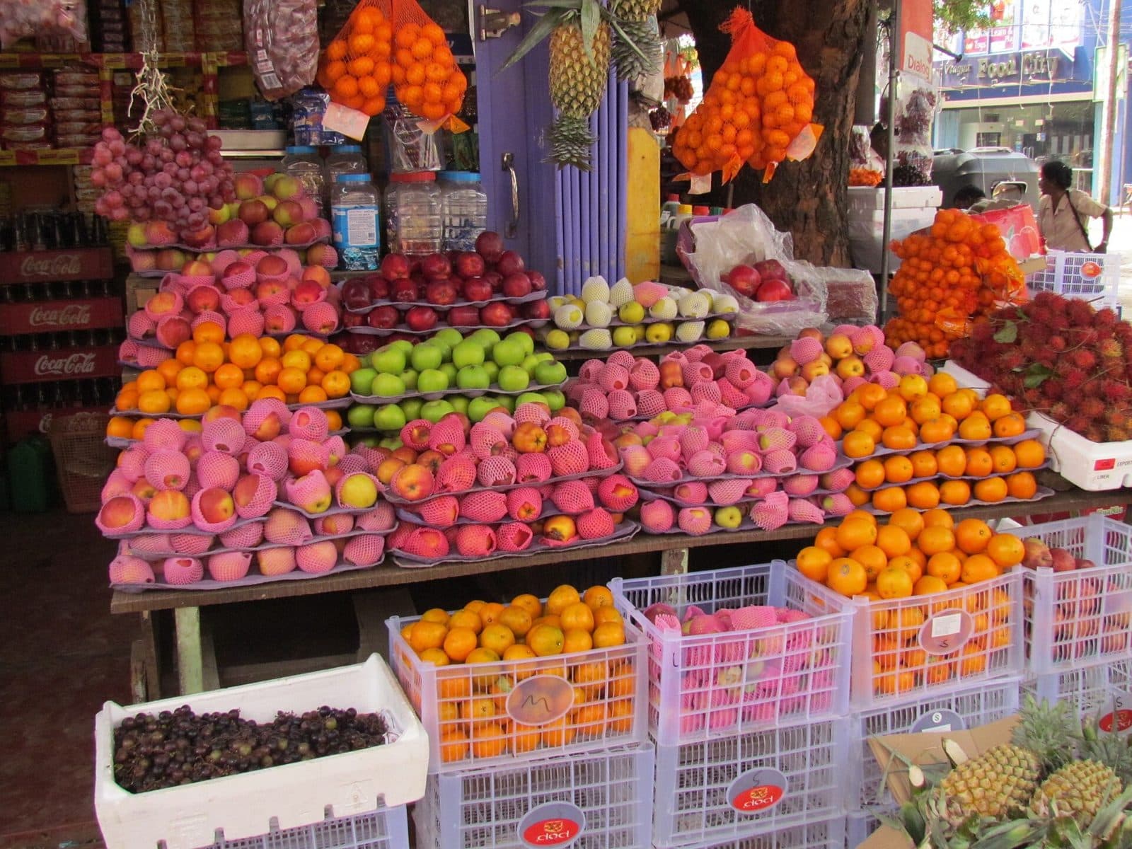 Jaffna Market